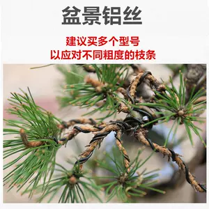 白蟠扎 新人首单立减十元 22年7月 淘宝海外