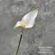 
EVA double-headed calla lily and calla lily wedding hall decoration model room floral flower arrangement photography props holding bouquet