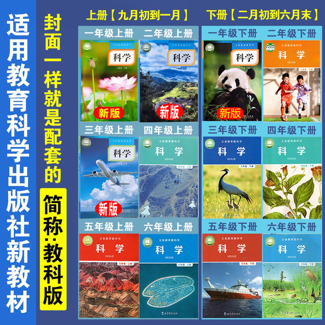 Elementary school first, second, third, fourth, fifth and sixth grade ...