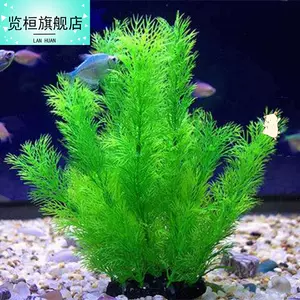 柔水草花 新人首单立减十元 22年4月 淘宝海外