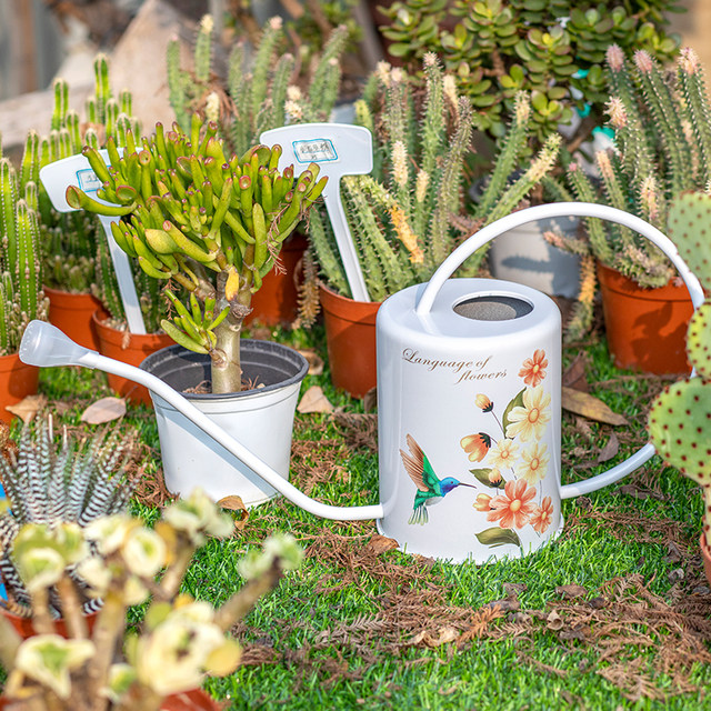 Watering kettle stainless steel long mouth flower watering kettle household watering kettle green plant succulent flower kettle large flower gardening