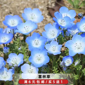 婴儿泪 新人首单立减十元 22年8月 淘宝海外