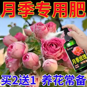 玫瑰花肥料 新人首单立减十元 22年7月 淘宝海外