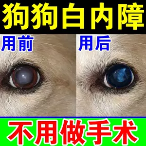 狗狗滴眼液白内障 新人首单立减十元 22年9月 淘宝海外
