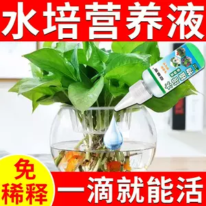 水培肥料 新人首单立减十元 22年10月 淘宝海外