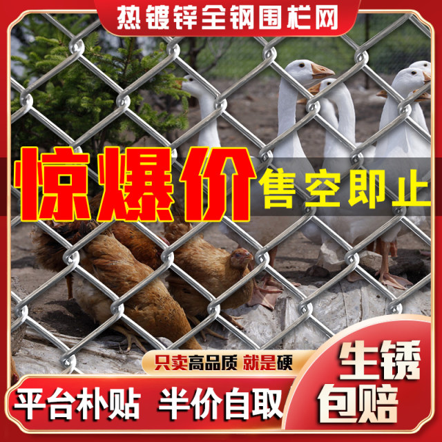 Galvanized wire mesh steel wire mesh fence fence outdoor guardrail net household breeding cattle and sheep chicken net vegetable garden protection