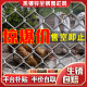 Galvanized wire mesh steel wire mesh fence fence outdoor guardrail net household breeding cattle and sheep chicken net vegetable garden protection