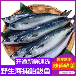 青花鲐鱼-新人首单立减十元-2022年8月|淘宝海外
