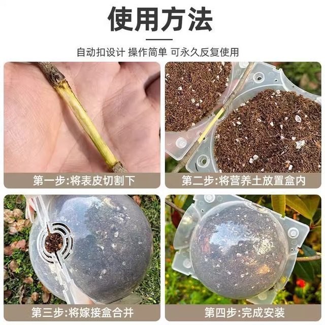 High-pressure plant grafting propagation box fruit tree branch seedling grafting box grafting box transplant household long strip seedling bag
