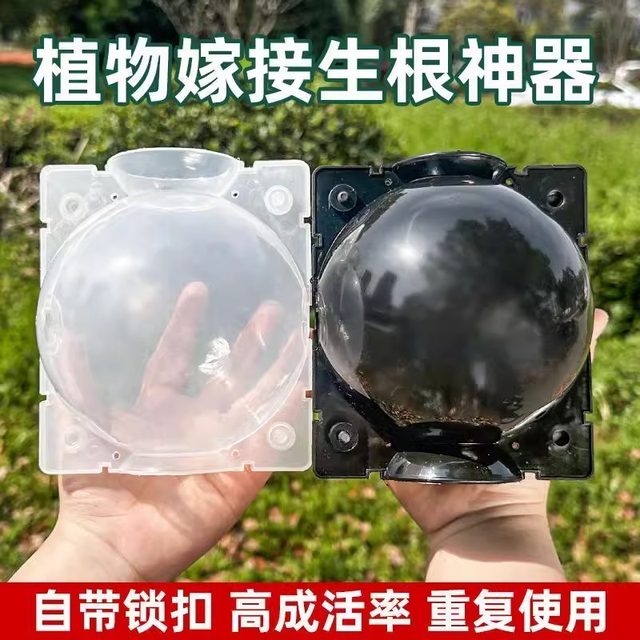 High-pressure plant grafting propagation box fruit tree branch seedling grafting box grafting box transplant household long strip seedling bag
