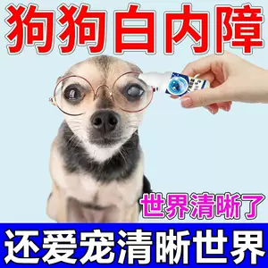 狗狗白内障药水 新人首单立减十元 22年10月 淘宝海外