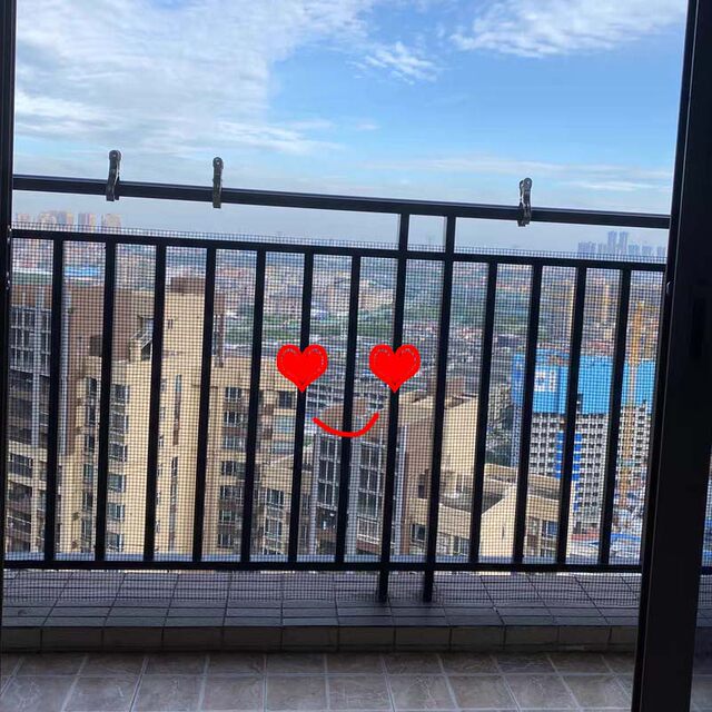 Anti-theft windows closed for cat and mouse-proof wire mesh balcony anti-rust metal protective grid Children's safety protection net