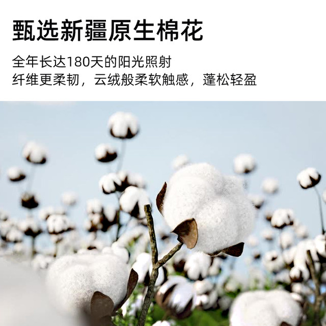 Middle -aged and elderly cardigan outer cotton cotton thickened warm underwear suits Mom autumn clothes autumn pants round leader shirt
