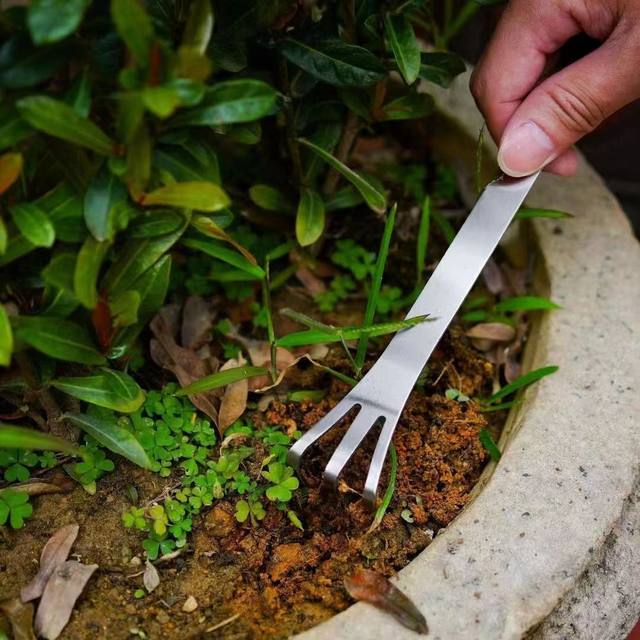New bonsai rake household stainless steel hand rake double-head soil ...
