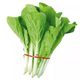 Four seasons cream cabbage seeds fast vegetable seeds green vegetables cabbage small cabbage seeds vegetable seeds vegetable seeds potted plants