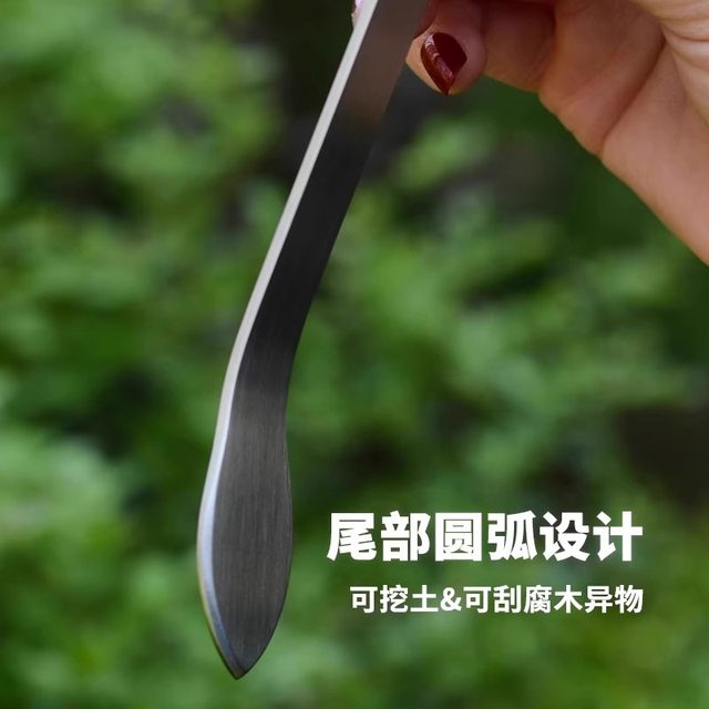 Special small rake for stainless steel bonsai, flower pot loose soil artifact, flower gardening tool, small scratch rake, three-claw rake