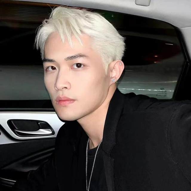 Magnet earrings for men without pierced ears, ear clips for men, white diamond pierced earrings, handsome magnetic suction, American niche style earrings