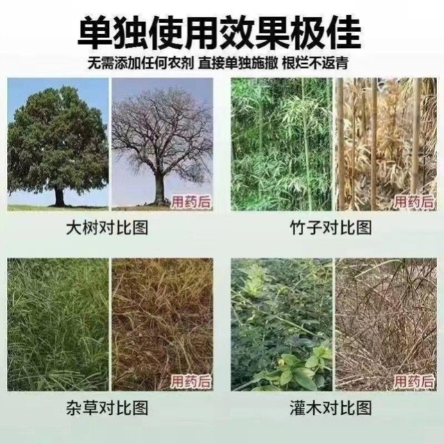 Tree root-killing powder, rotten root agent, tree root-removing agent, tree-root-removing agent, rotten root powder, powerful tree-killing agent, special medicine for dead trees