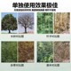 Tree root-killing powder, rotten root agent, tree root-removing agent, tree-root-removing agent, rotten root powder, powerful tree-killing agent, special medicine for dead trees
