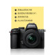 Nikon Z50II half-frame mirrorless digital camera HD travel Nikon z50 second generation