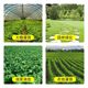 Agricultural sprinkler watering flowers and land watering artifact garden gardening greenhouse irrigation pump sprinkler atomized sprinkler head
