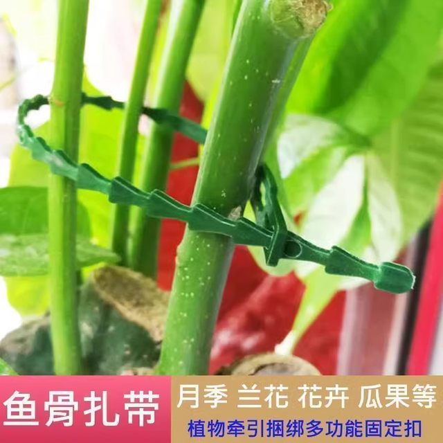 
Gardening fish bone tie plant anti-tipping strap climbing plant fixation artifact multi-functional tie bar reusable