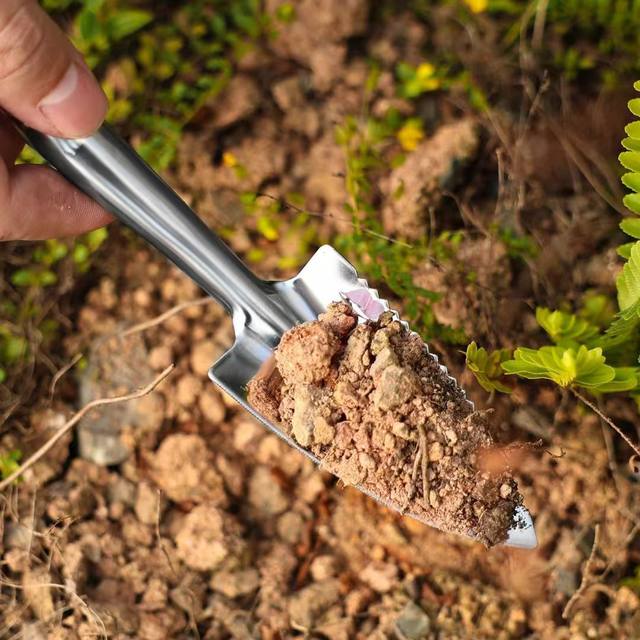 Stainless steel mini shovel household flower planting tool tip shovel small rake flower pot loosening soil change gardening green plant shovel