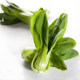 Fang Zhen Shanghai green seeds cabbage seeds short-legged cabbage seeds vegetable seeds rape balcony gardening
