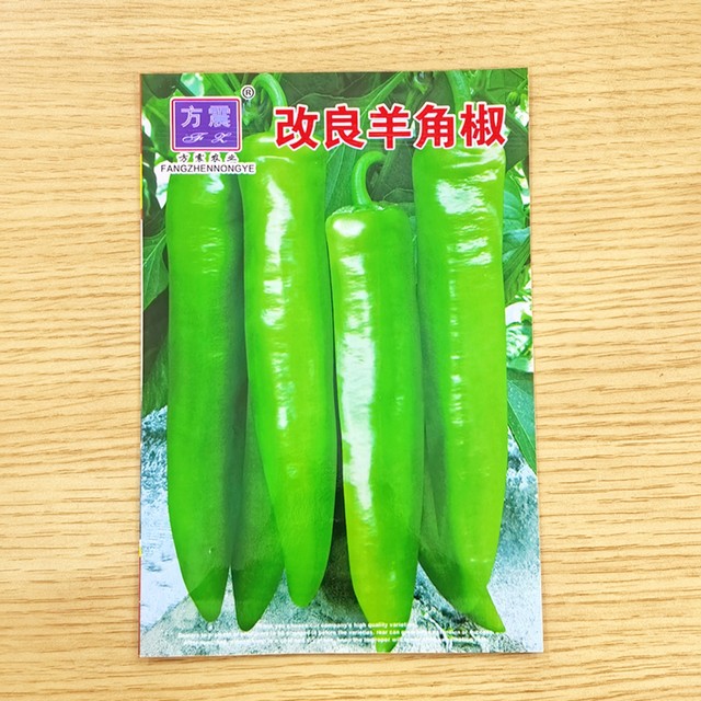 Pepper seeds chili seeds premature ripening super large fruits with disease resistance and high yield in spring and autumn planting vegetable seeds