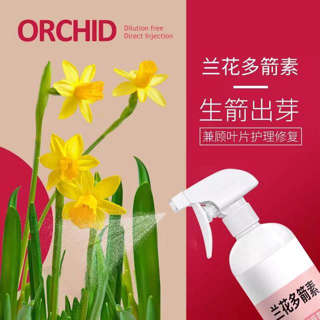 Special nutrient solution for orchid multi-flare and explosive sprouts, butterfly orchid multi-sword king orchid king orchid nutrient solution fertilizer gardening store