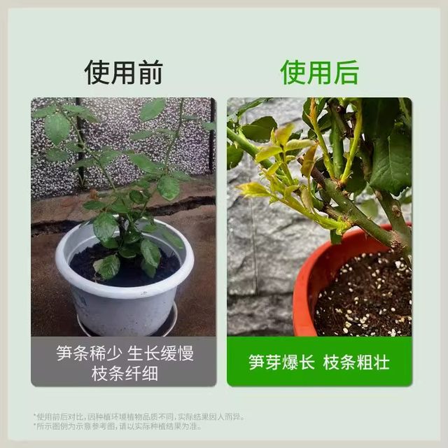 Rose Bamboo Shoot Fertilizer Rose Flower Special Potted Home Gardening Nitrogen Phosphorus Potassium Fertilizer Flowers