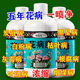 Genuine Huabingkang plant and flower universal dilution-free direct spray home gardening flower insecticide
