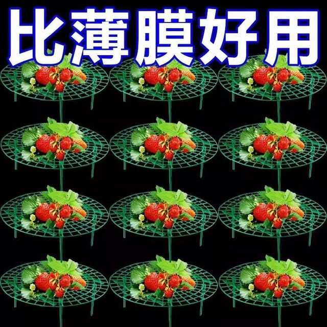 Strawberry tray rack anti-rot strawberry rack support grid round fruit stand green gardening stable support rack