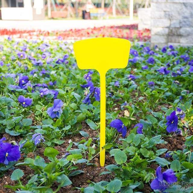 
Surface gardening ground label, surface label, field planting label, succulent label, identification card, label