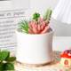 
New style ceramic flower pots simple white desktop ornaments plant gardening pots succulent flower pots containers modern decoration