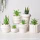 
New style ceramic flower pots simple white desktop ornaments plant gardening pots succulent flower pots containers modern decoration