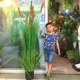 
Onion grass S simulation potted waterscape candle plant gardening B&B soft decoration green home color decorative ornaments