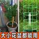 Plant bracket universal flower stand splicing gardening orchid Hualian flower shelf supporting rod inside anti -climbing frame