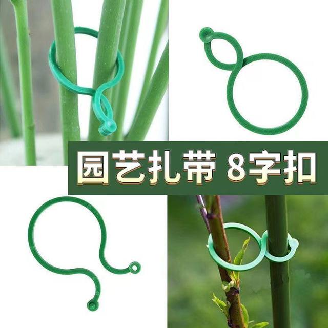 Climbing cucumber eggplant tied 8-character buckle plant fixing buckle gourd circle gardening 8-character buckle gardening green plant fixing clip