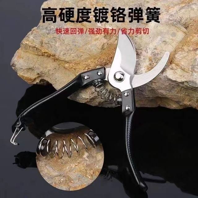 Garden scissors, pruning shears, gardening fruit tree scissors, branch shears, spring tea tree scissors, branch special pruning shears tools