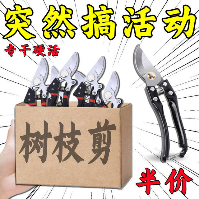 Garden scissors, pruning shears, gardening fruit tree scissors, branch shears, spring tea tree scissors, branch special pruning shears tools