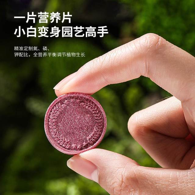 Plant nutrition tablets universal sustained release tablets green plant flower fertilizer compound fertilizer flower slow release fertilizer household potted gardening