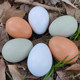 Solid wooden simulated eggs, nesting fake egg models, children's hand-painted graffiti eggs, play house puzzle crafts