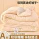 Class A maternal and infant grade soy protein fiber thickened winter quilt to keep warm spring and autumn quilt super soft student dormitory single and double