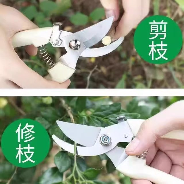 Gardening garden fruit tree scissors to prune branches potted plants artifact household greening scissors branch pruning knife special tool