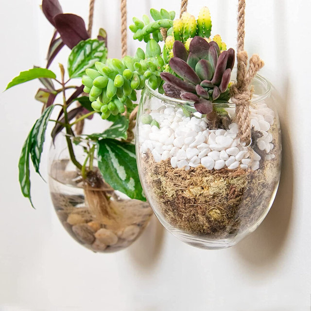 Hanging hydroponic egg-shaped glass vase wall hanging water plant container home gardening wall decoration pendant