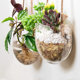 Hanging hydroponic egg-shaped glass vase wall hanging water plant container home gardening wall decoration pendant