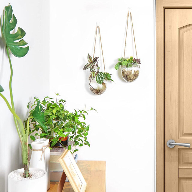 Hanging hydroponic egg-shaped glass vase wall hanging water plant container home gardening wall decoration pendant