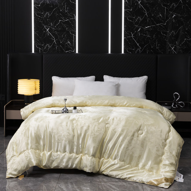 Muji Monologue Jacquard Silkworm Chrysalis Protein Quilt Warm Spring and Autumn Quilt Core Single Double Student XL11