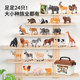 Newchi animal model children's simulation toy farm safari full set of boys and babies early education cognition